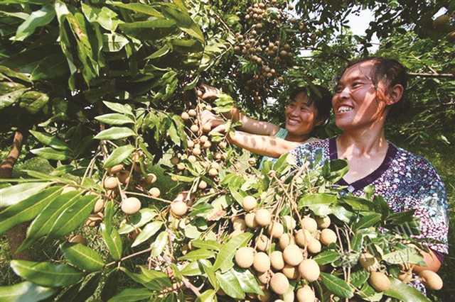 永川朱沱镇，绘就特色小镇多彩画卷