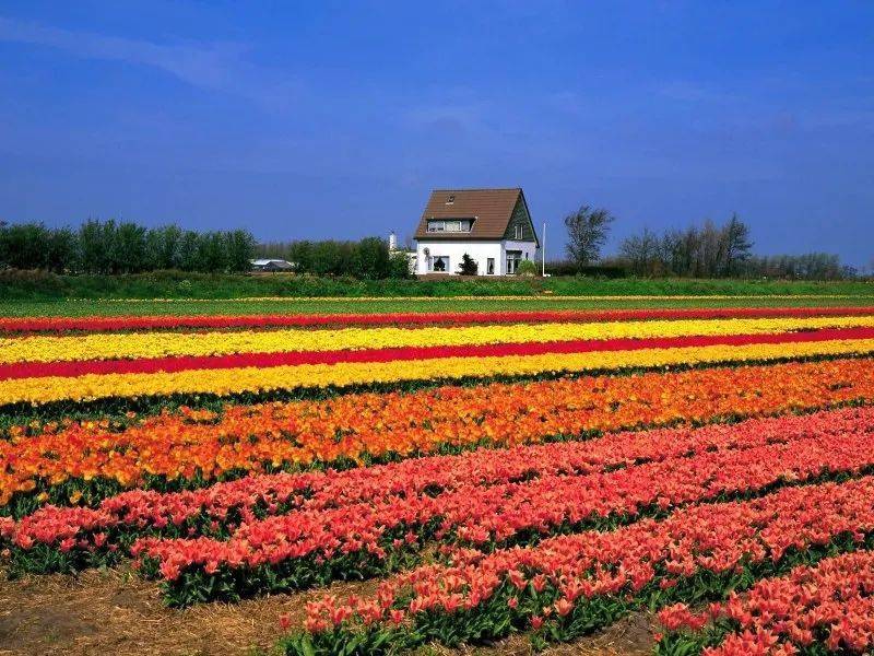 特色小镇中“文化 旅游”的应用